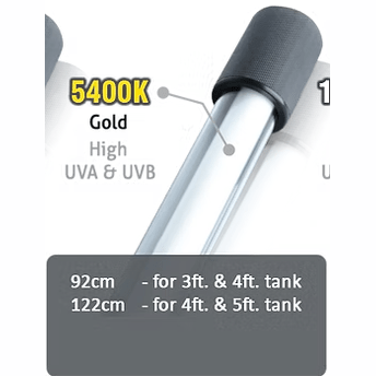 TICA Arowana tanning light UV and UVB in 5400k Gold